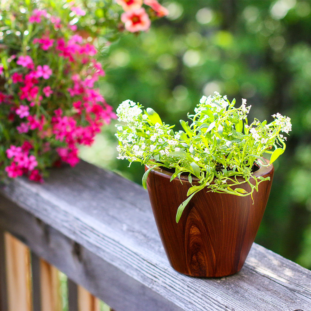 2-Pack 10 in.Dark Wood Plastic Self-watering Planter Pot